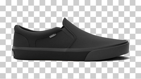 Vans MN Asher Erkek Ayakkabısı VN000SEQ1861 ürün görseli 1