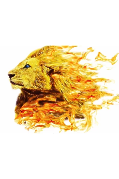 Aslan Kral Canvas Tablo (50x70) - Resim 2