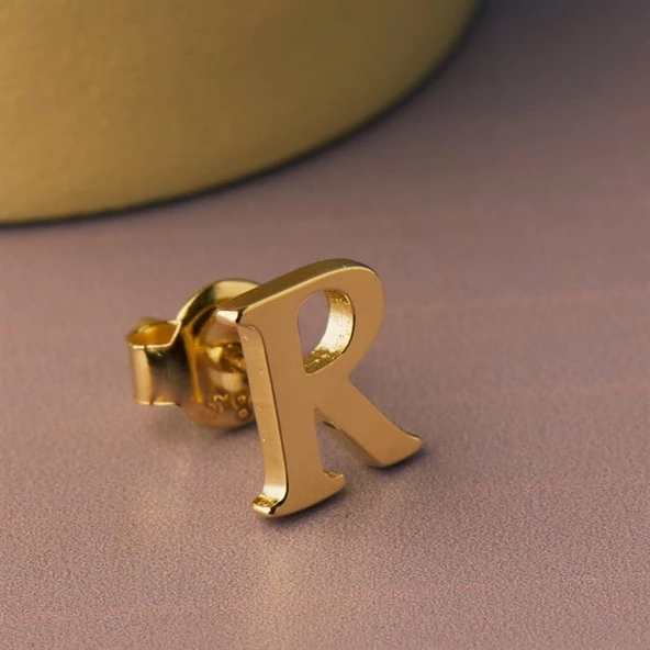 14 Ayar Altın R Harf Küpe 0,51 gr - Resim 8