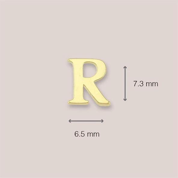 14 Ayar Altın R Harf Küpe 0,51 gr - Resim 4