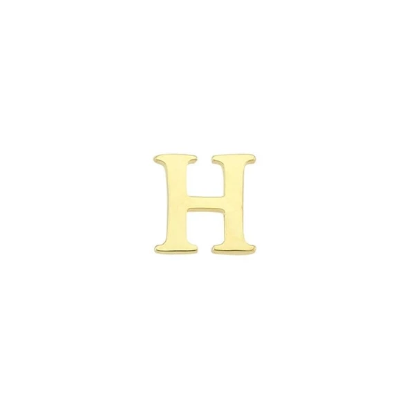14 Ayar Altın H Harf Küpe 0,53 gr - Resim 6