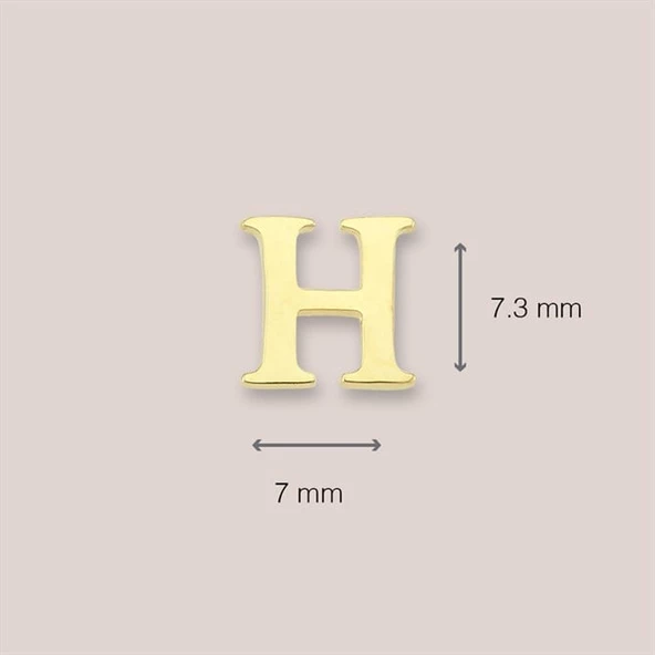14 Ayar Altın H Harf Küpe 0,53 gr - Resim 4