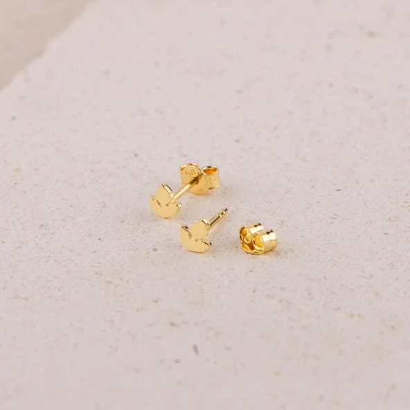 14 Ayar Altın Minik Küpe 0,50 gr - Resim 2
