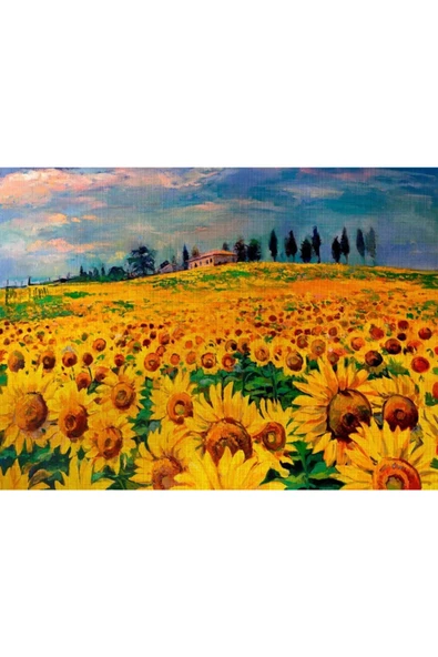 Ayçiçek Tarlası Canvas Tablo (50x70) - Resim 2
