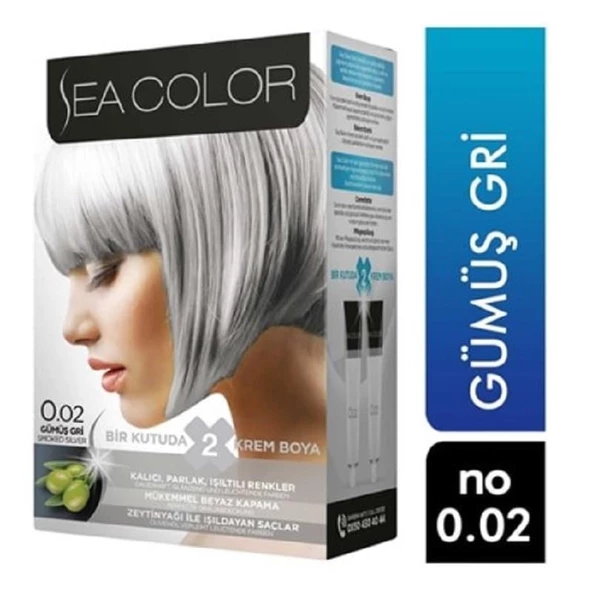Sea Color Set Boya 0.02 Gümüş Gri ürün görseli 1