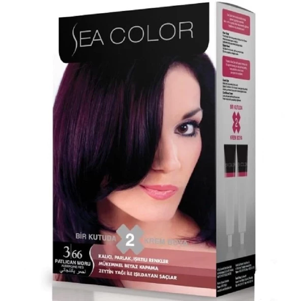 Sea Color Set Boya 3.66 Patlıcan Moru ürün görseli 1