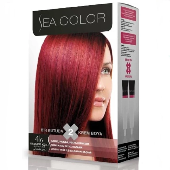 Sea Color Set Boya 4.6 Kestane Kızılı ürün görseli 1