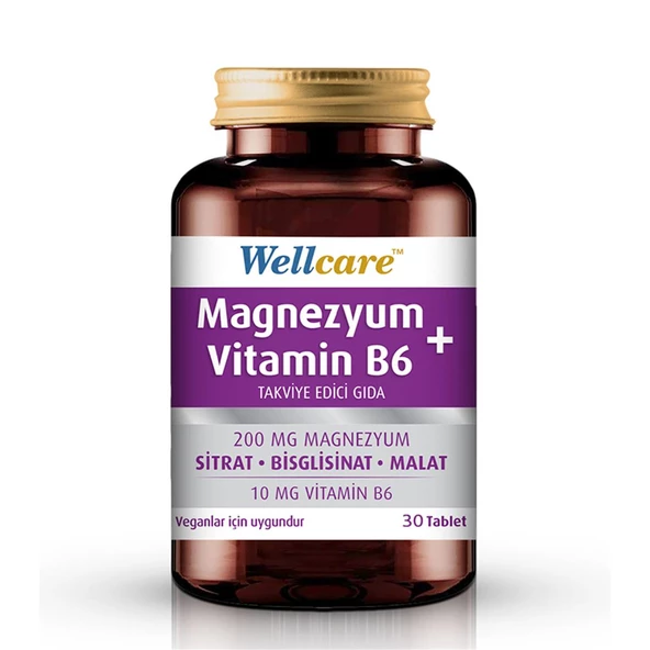 Wellcare Magnezyum + Vitamin B6 30 Tablet ürün görseli 1