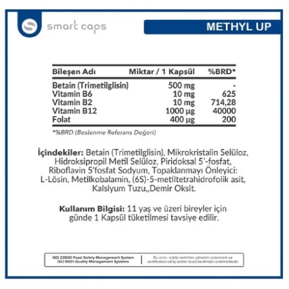 Methyl Up 60 Kapsül - Resim 2