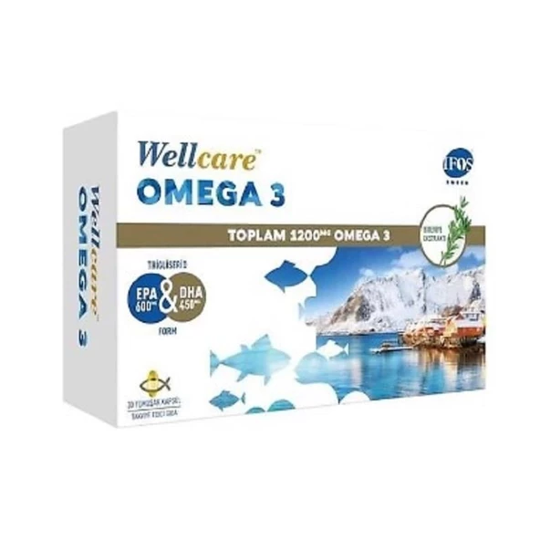 Wellcare Omega 3 Balık Yağı 1200 mg 30 Kapsül ürün görseli 1