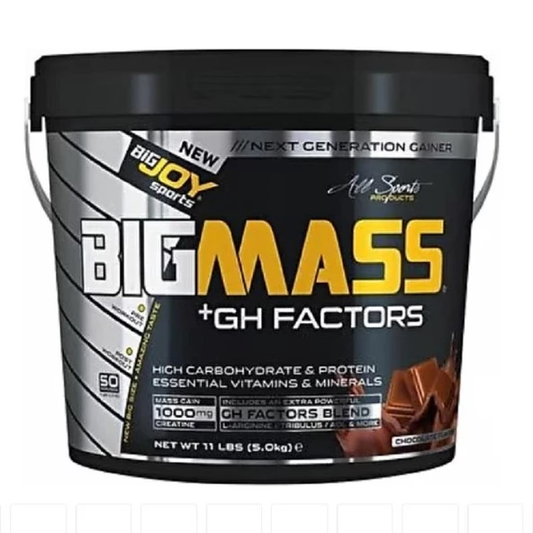 BigJoy Sports Bigmass +GH Factors Çikolata 5 kg ürün görseli 1