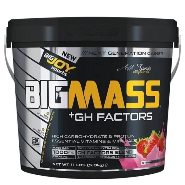 BigJoy Sports Bigmass +GH Factors Çilek 5 kg ürün görseli 1