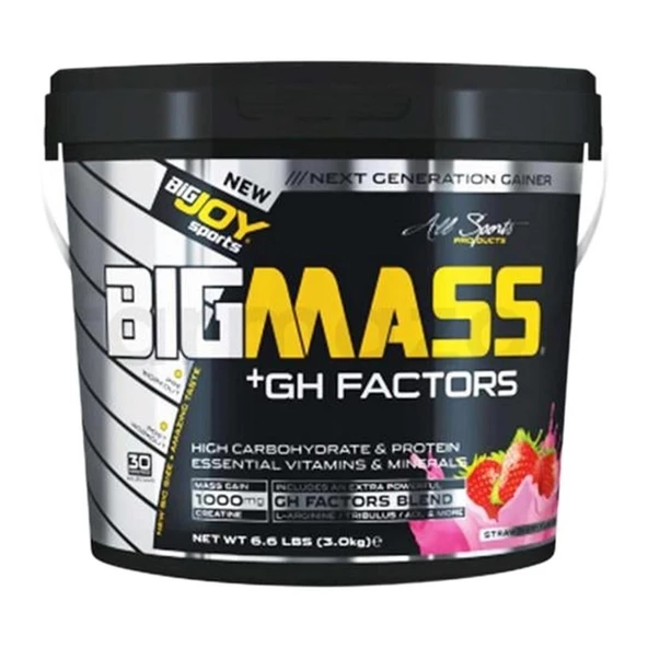 BigJoy Sports Bigmass GH Factors Çilek 3 kg ürün görseli 1