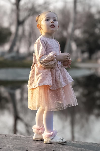 Kız Bebek Elbise Kız Çocuk Elbise Doğum Günü Parti Düğün Elbise Tüllü Uzun Kol Astarlı Bebek Giyim ELBFYNKTUL ürün görseli 1