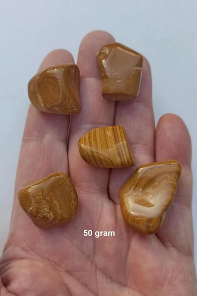 50 Gram Kahverengi Jasper Tamburlu Parçalar 538 ürün görseli 1