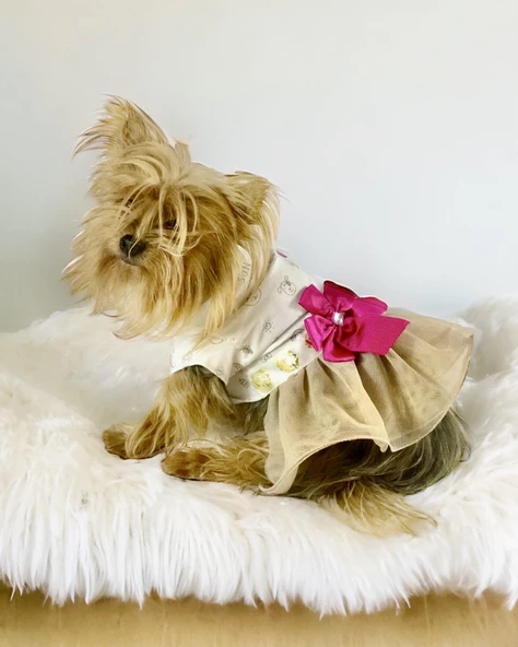 Creamy Fuchia Tütülü Köpek Elbisesi,  Kıyafeti Tutu ürün görseli 1