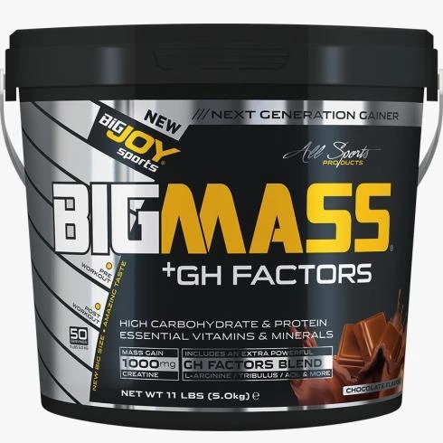 Bigjoy Sports Big Mass +GH Factors 5000 Gr Çikolata ürün görseli 1