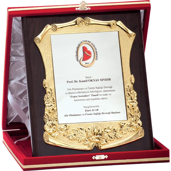 ODAK KUPA - Özel Plaketler - LX-015 A - 20x25 cm ürün görseli 1