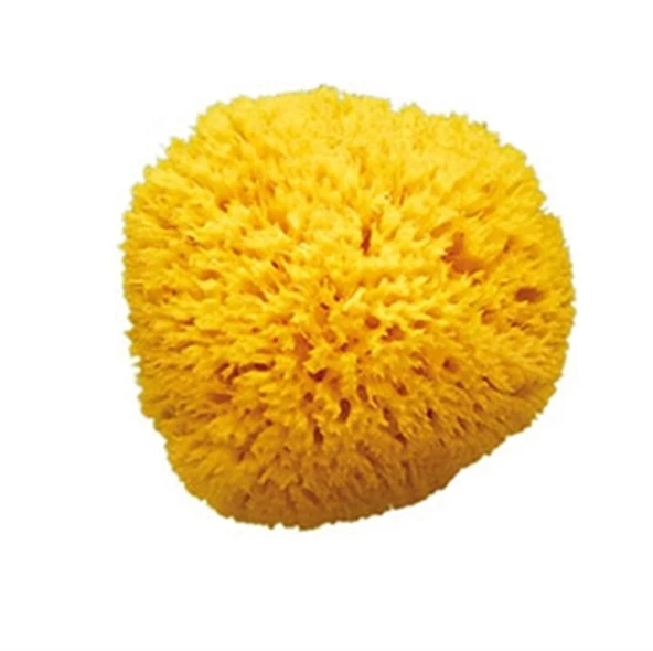 OkBaby Doğal Banyo Süngeri / Küçük ürün görseli 1