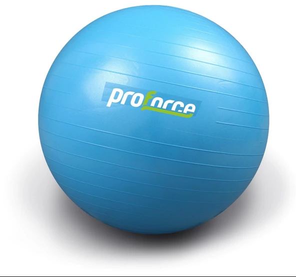 Proforce Pilates Topu 65 Cm 1100 gr - Resim 5