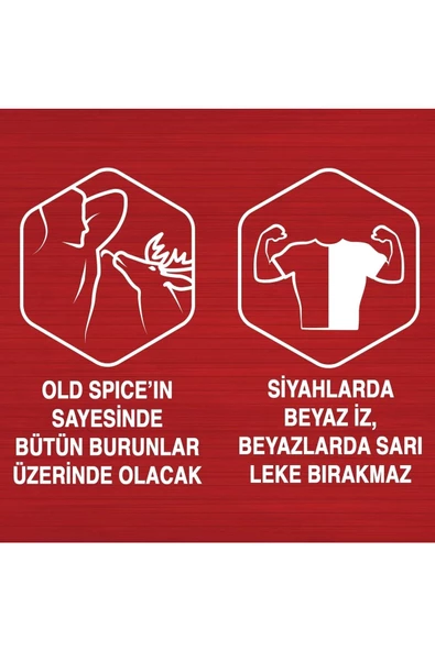 Old Spice Whitewater Erkek Için Stick Deodorant - Resim 6