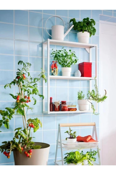 IKEA Förenlıg Plastik Saksı - Beyaz - 9 Cm Çap - Resim 5