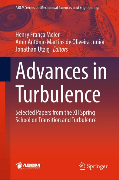 Advances in Turbulence: Selected Papers from the XII Spring School on Transition and Turbulence (Lecture Notes in Mechanical Engineering) Meier Junior ürün görseli 1