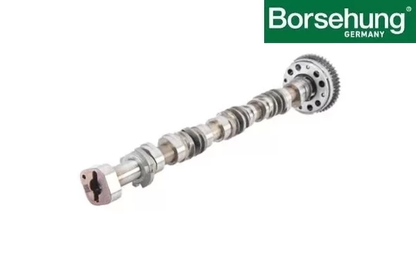 06K109022BQ Eksantrik Mili Emme - Porsche-Macan-A4-A5-A6-A7-Q3-Q5-Q7-Superb-1.8 Lt.-2.0-Tfsı-Cjsa-Cjeb-Cncd-Cyga-Cyna ürün görseli 1
