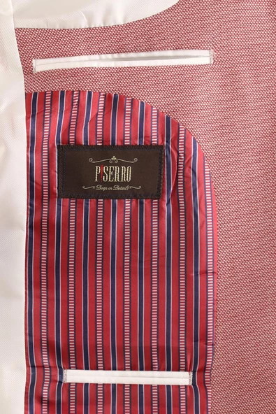 Slim Fit Ceket - Resim 5