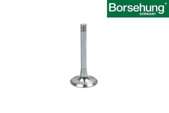 048109611B Subap Egsoz - Golf 4-Bora-PoloClassıc-A3-Leon-Octavia -1.6 Lt.-Aft-Akl-Aeh-Arm ürün görseli 1