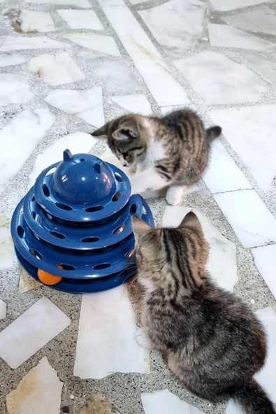 3 Katlı 3 Toplu Kedi Oyuncağı ürün görseli 1