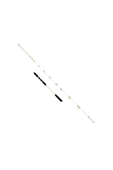 Captain 1428 Egi Fisher 2 Parça Solid Tekne Kamışı Max 150gr 165 cm ürün görseli 1