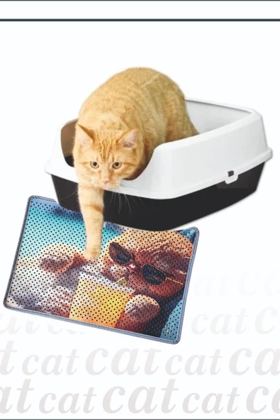 Kedi Kumu Paspası, Delikli Kedi Tuvaleti Paspası, Dijital Baskılı Kedi Paspası ürün görseli 1