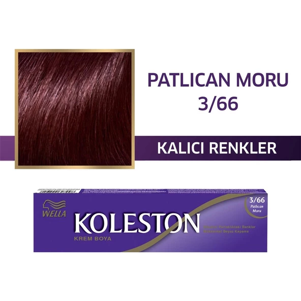 Koleston Tüp Boya 3/66 Patlıcan Moru ürün görseli 1