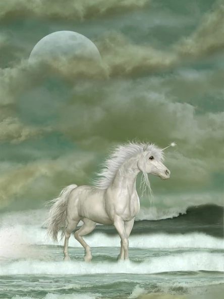 Pegasus - Kanvas Tablo - Resim 2