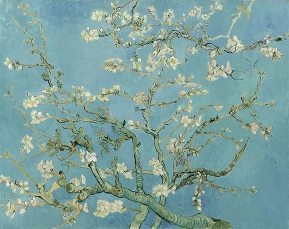 Van Gogh Badem Çiçekleri - Kanvas Tablo - Resim 2