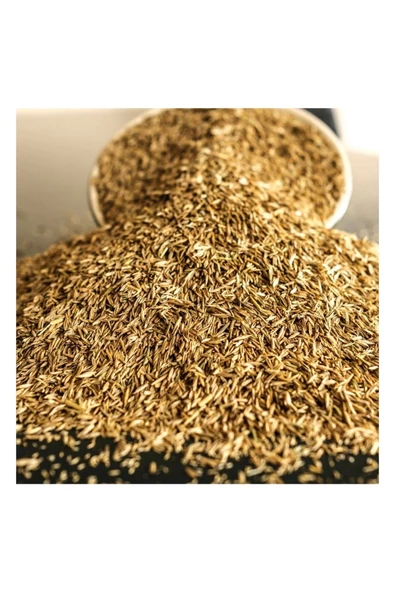 Yiğit Tohum Yerli 6'lı Karışım Çim Tohumu 2 Kg ürün görseli 1