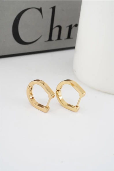 Kadın 316 L Paslanmaz Çelik 1.8 cm Oval Model Küpe ürün görseli 1