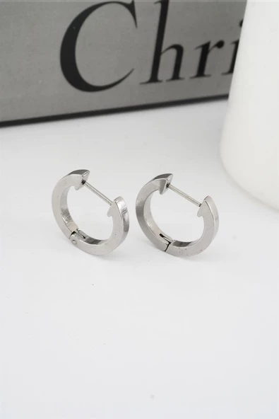 Kadın 316 L Paslanmaz Çelik 2 cm Oval Model Küpe ürün görseli 1