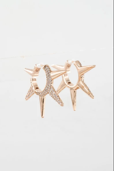 Kadın Vip Seri  Xuping Rose Gold  Küpe Seti ürün görseli 1