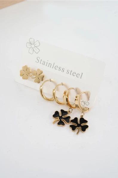 Kadın 316 L Paslanmaz Çelik Kararmaz  6'lı Küpe Seti ürün görseli 1