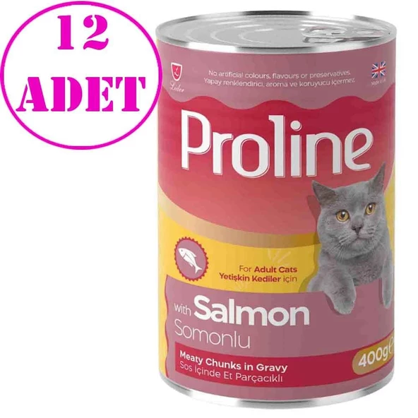 Proline Kedi Konserve Maması Somonlu 400 Gr 12 AD ürün görseli 1