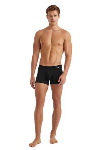 Blackspade 9310 Erkek %94 Modal Silver Boxer - Resim 4