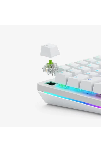 Glorious MX Şeffaf Raptor Yağlanmış 36 Adet Switch - Resim 2