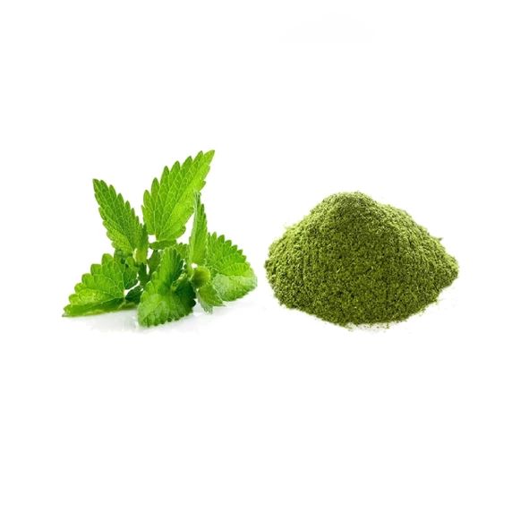 Nane Toz Mint 100 gr, Derya Eren ürün görseli 1