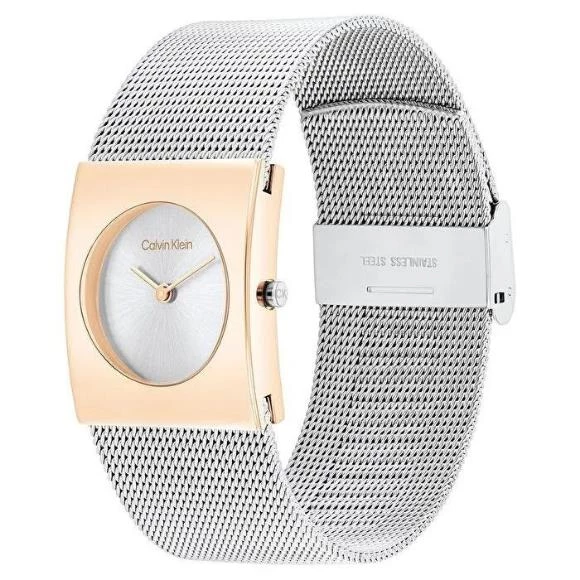 Calvin Klein CK25100063 Kadın Kol Saati - Resim 2