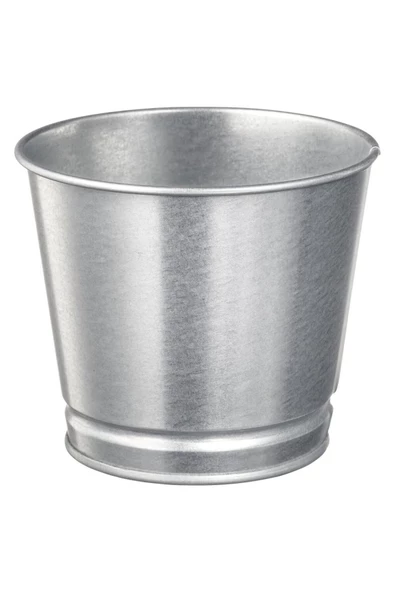 Bıntje Galvanizli Çelik Saksı - 9 Cm ürün görseli 1