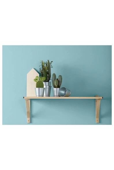 Bıntje Galvanizli Çelik Saksı - 9 Cm - Resim 3
