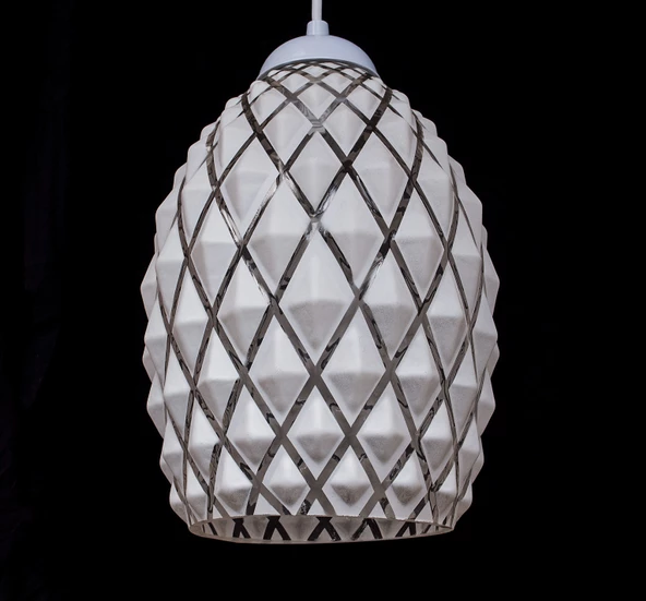 D-light Akasya Tekli Avize - Resim 2