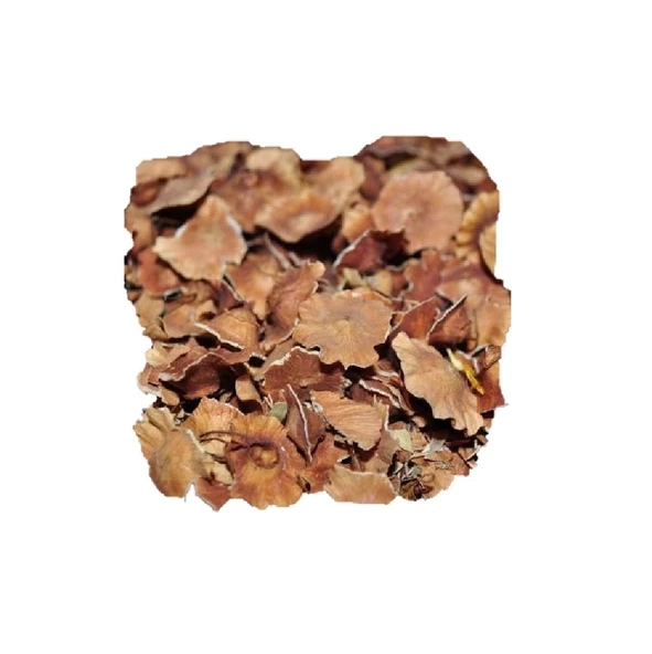 Deve Tabanı (Karaçalı) 50 Gr, Lokman Aktar - Resim 2